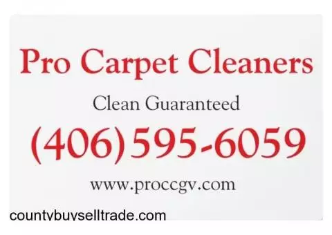 Pro Carpet Cleaners