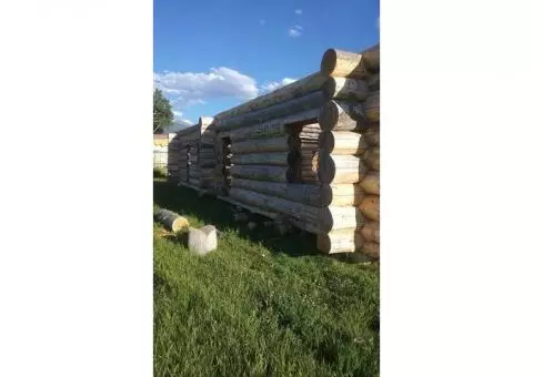 Log House Shell for sale
